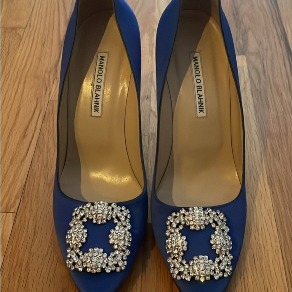 Manolo Blahnik Hangisi Pumps – EU 40 – Authentic – Lightly Worn